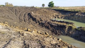 As it dried, the wet muck was spread out on the front side of the dam.