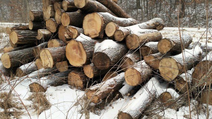 Logging the Section2